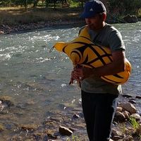 Фотографии пользователя Ali Rezaei