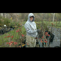 Chelsea Criqui的照片