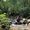 Billy Jack's Photo