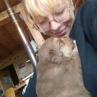 Amandine  Raeckelboom's Photo