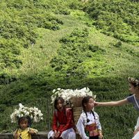 Фотографии пользователя Phuong Ly