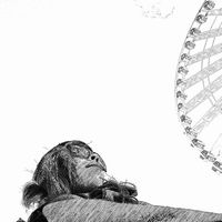 Sofia C. Castro's Photo