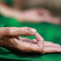 Liliana Bortolin's Photo