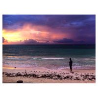 Armando Lanz's Photo