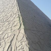 Hassan Dankoub's Photo