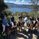 Horseback Riding 's picture