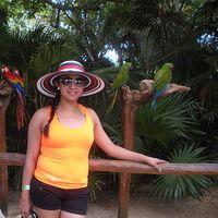 Marisol Avilés's Photo