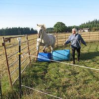 Kathleen Ingerson的照片