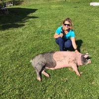 Фотографии пользователя Stephanie Veigl