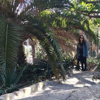 Lauraleen Maciel的照片