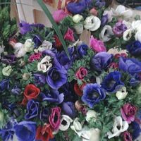 Estudie Angles的照片