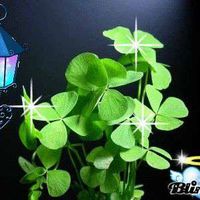 Toàn Phạm's Photo