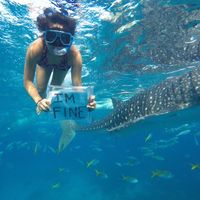 Kat  Flores的照片