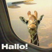 Corina Bluhm的照片