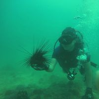 javad esfehani的照片