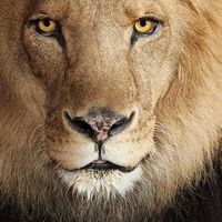 Hunar Ahmad的照片