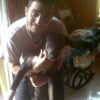 Fotos de Michele Oliva