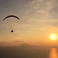 Pierre Daviau的照片