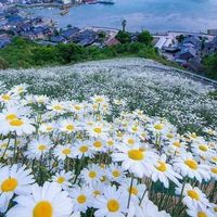 Fotos de Manel Benzarrouk