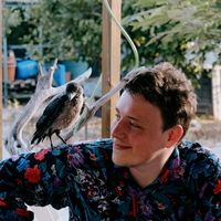 Michael Beavitt's Photo