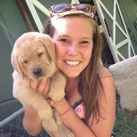 Kristy Wildgen's Photo