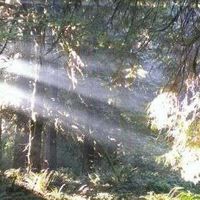 Photos de Jeffrey Brown