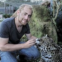 Marco Roller的照片