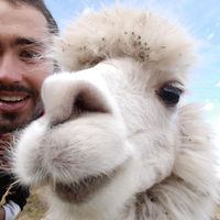 Antoine Chab的照片