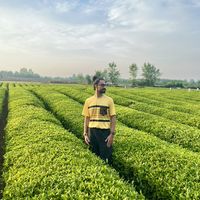 Taha Hashemi's Photo