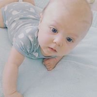 bert vermeule's Photo