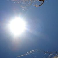 Giuliana Germinario's Photo