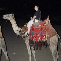 Carrie Danziger的照片