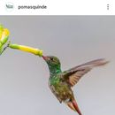 Birdwatching 's picture