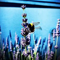 Maria Schrøder's Photo