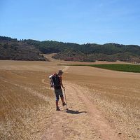 flora Vignon的照片