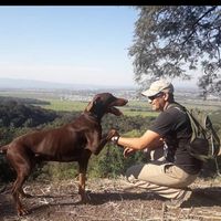 Photos de Gustavo Galian