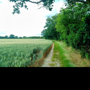 COUNTRYSIDE WALK - NOVEMBER MEET UP- CHELMSFORD 的照片