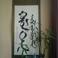 Munguntsooj Enkhjargal's Photo