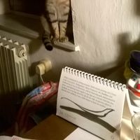 Antonino Vitale's Photo