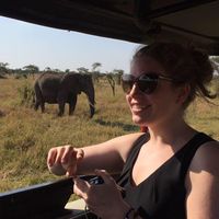 Фотографии пользователя Barbara Jongsma