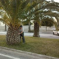 Celine et Elise Ledos's Photo