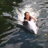 Kiemlan Tjong's Photo