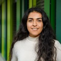 Maryam Ghareghani的照片