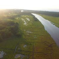 Christian Colgan's Photo