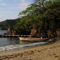 marce Galeano的照片