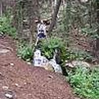 Steffan Roberts's Photo