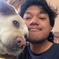 Shrijal Tamrakar's Photo