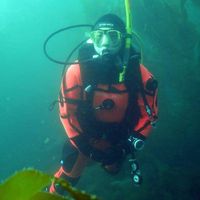 Chenchen Niu's Photo