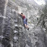 Fotos de Adriana Bortoli