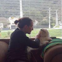 Neil Mackenzie's Photo